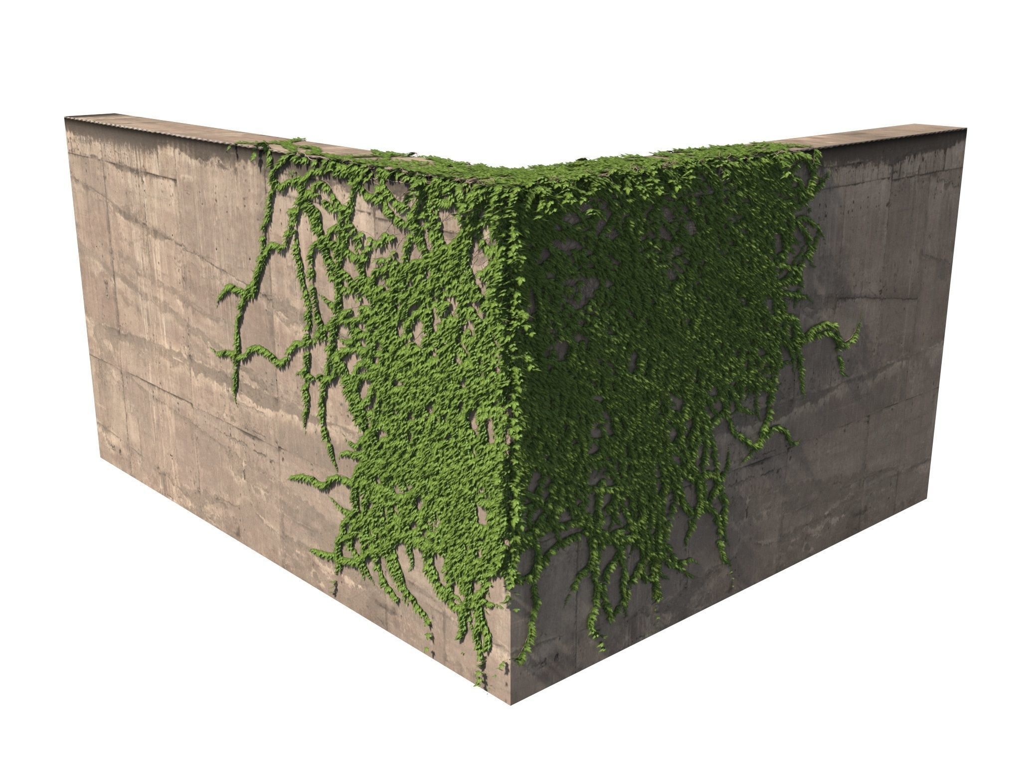Hanging Ivy Wall Mini Bundle vol 01 3D model_14
