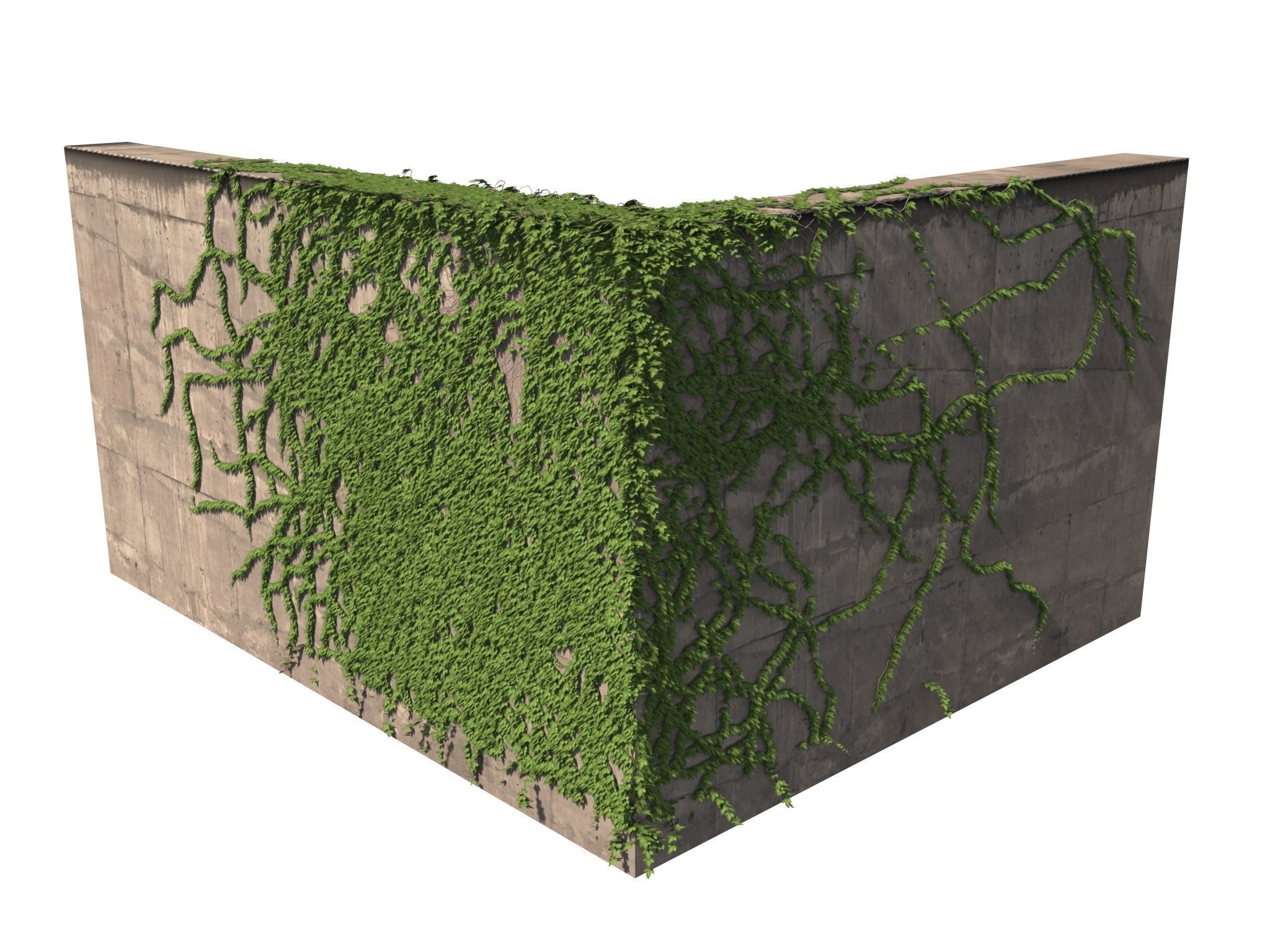 Hanging Ivy Wall Mini Bundle vol 01 3D model_20