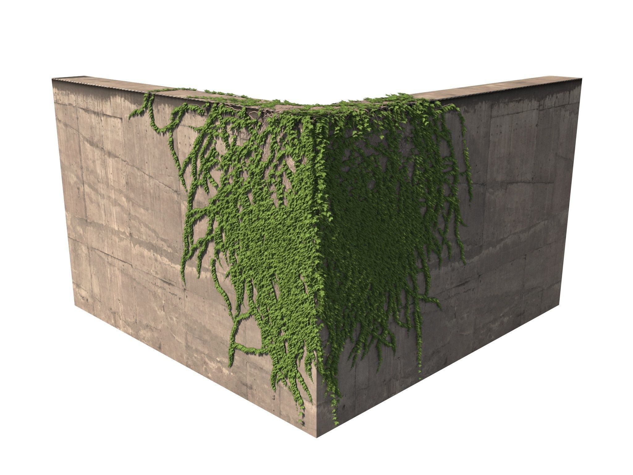 Hanging Ivy Wall Mini Bundle vol 01 3D model_4