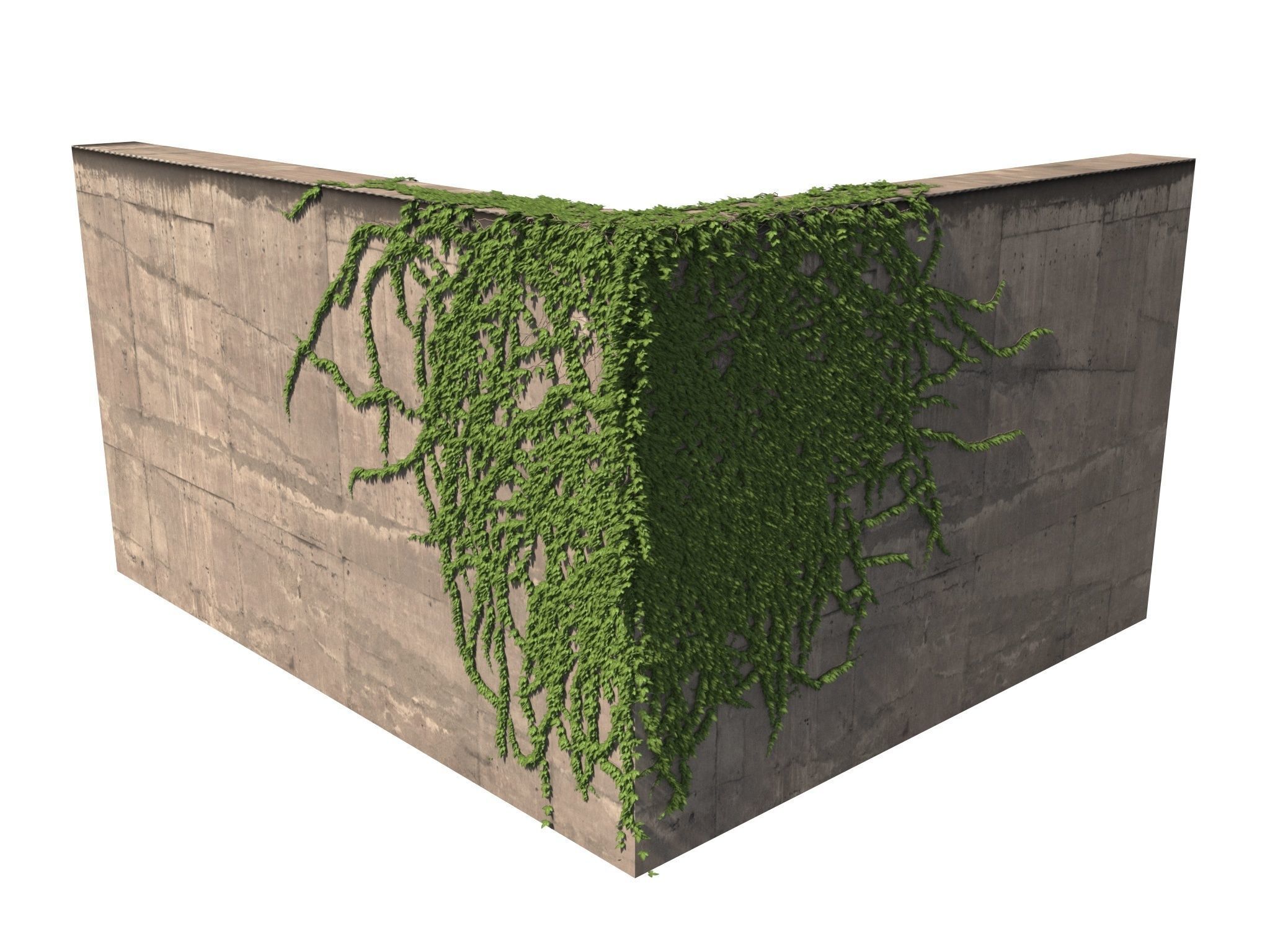 Hanging Ivy Wall Mini Bundle vol 01 3D model_10