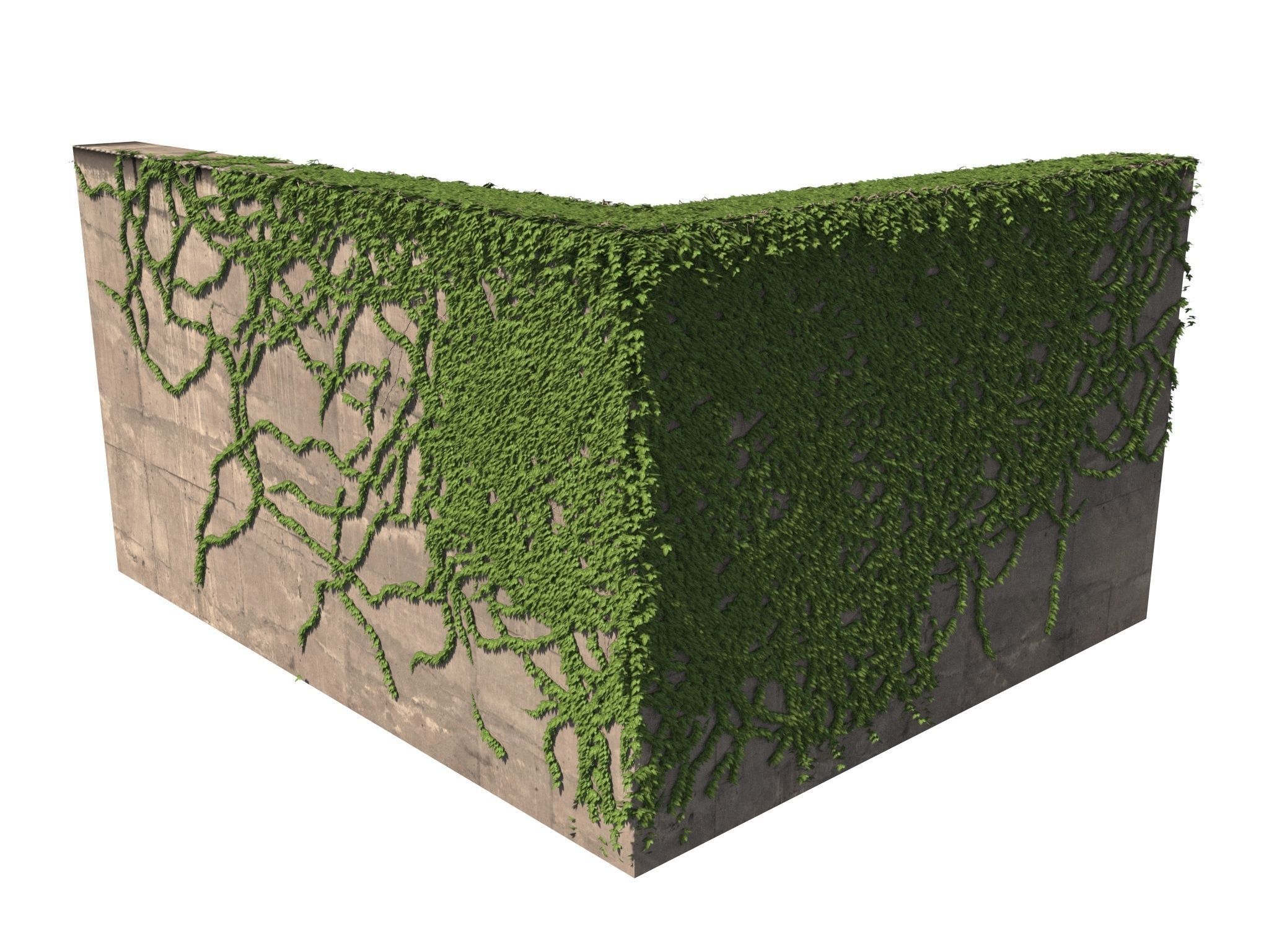 Hanging Ivy Wall Mini Bundle vol 01 3D model_7