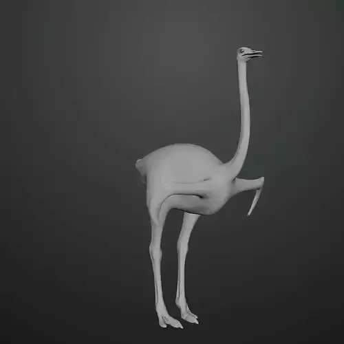 3D model of Ostrich