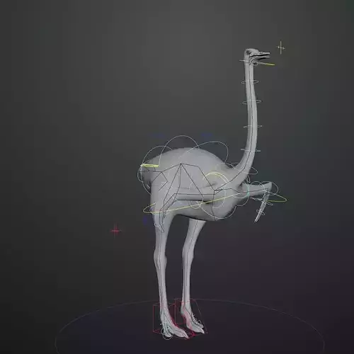 3D model of Ostrich including animation RIG