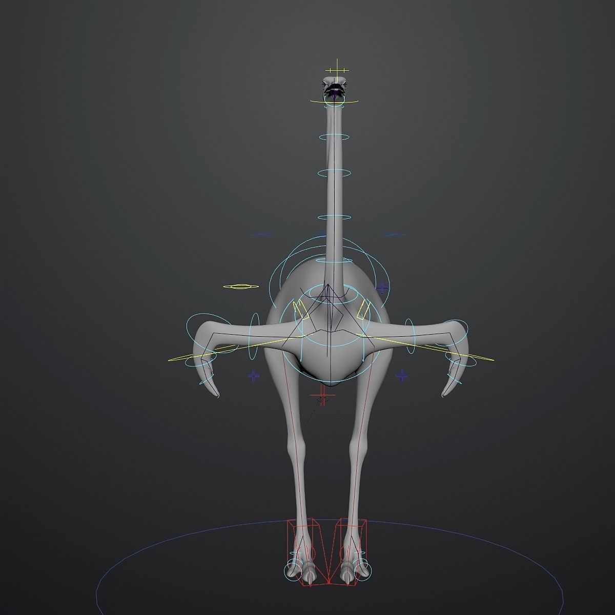 3D model of Ostrich including animation RIG 3D model_1