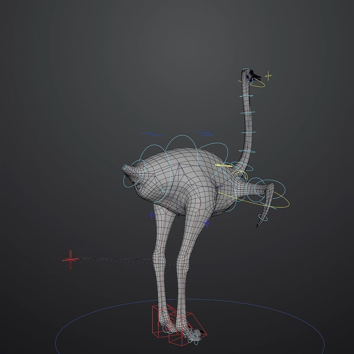 3D model of Ostrich including animation RIG 3D model_3