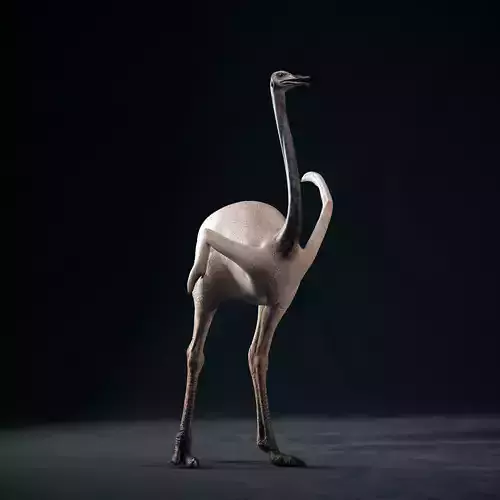 Realistic 3D model of Ostrich with RIG and texture pack
