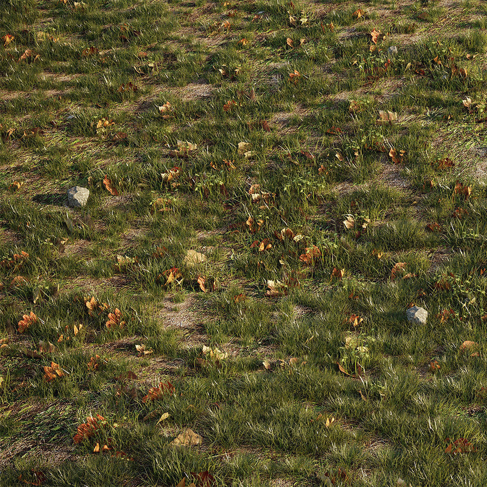 House Grass or Lawns Scene Complete 3D model_3