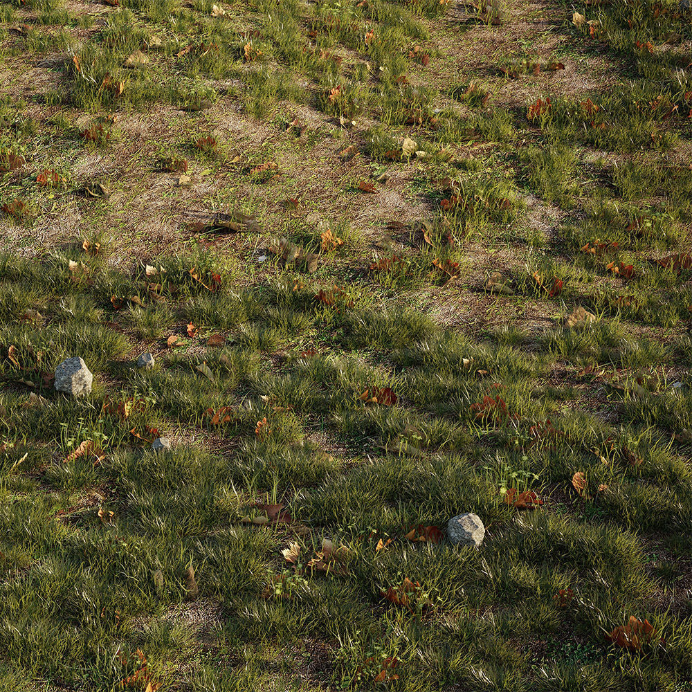 House Grass or Lawns Scene Complete 3D model_4