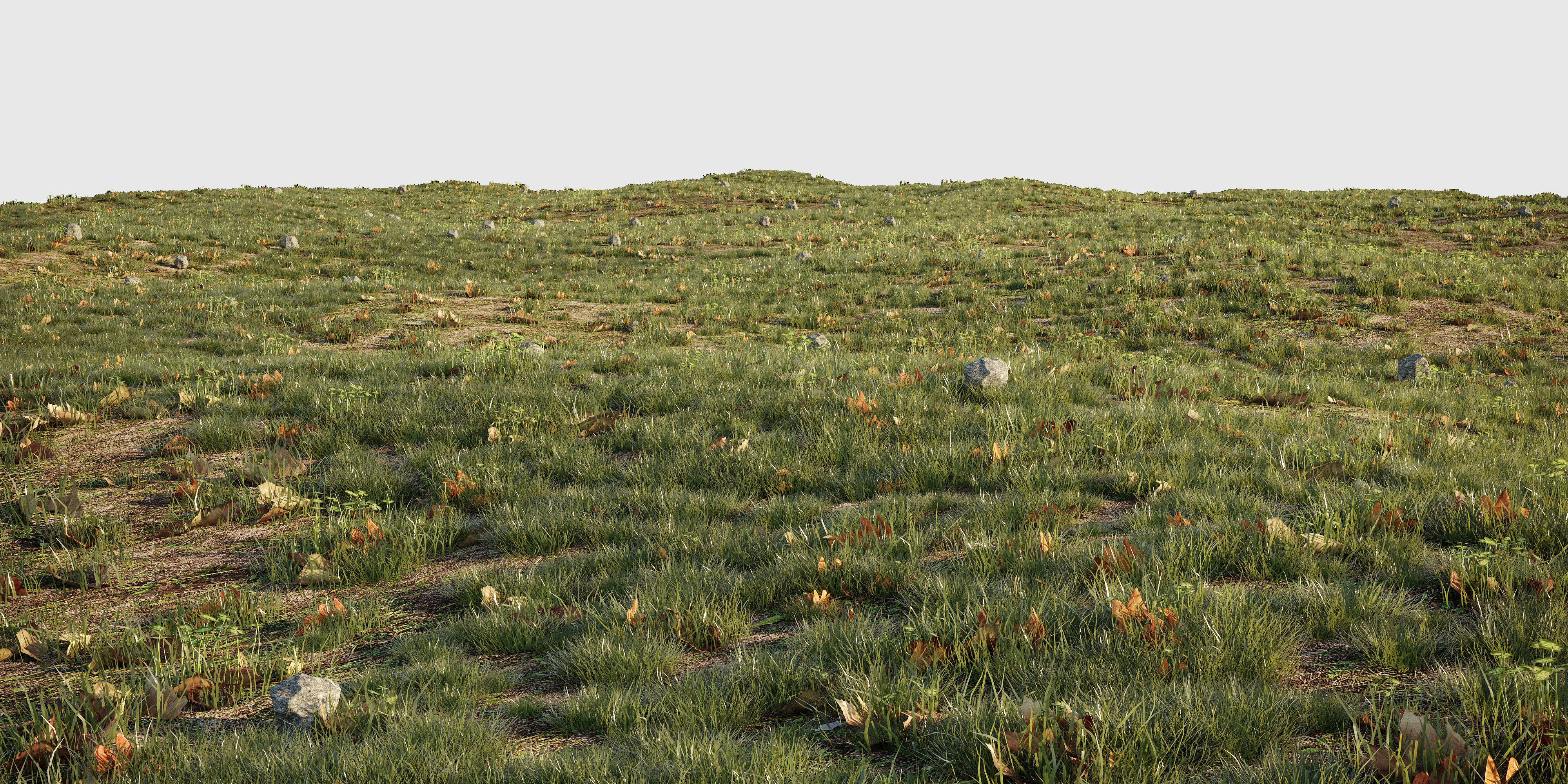 House Grass or Lawns Scene Complete 3D model_1