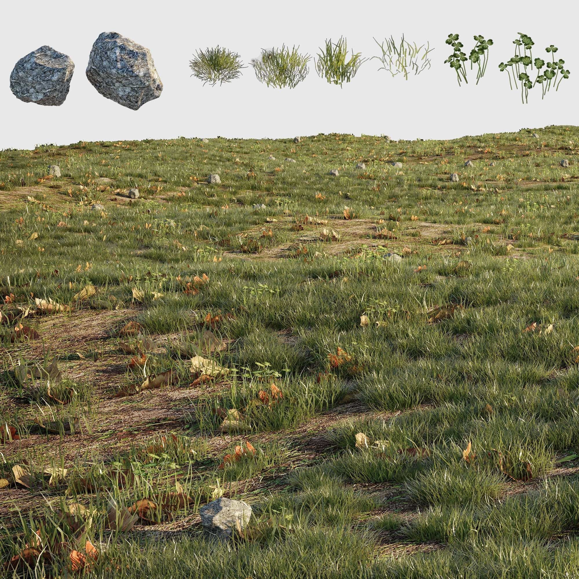 House Grass or Lawns Scene Complete 3D model_7