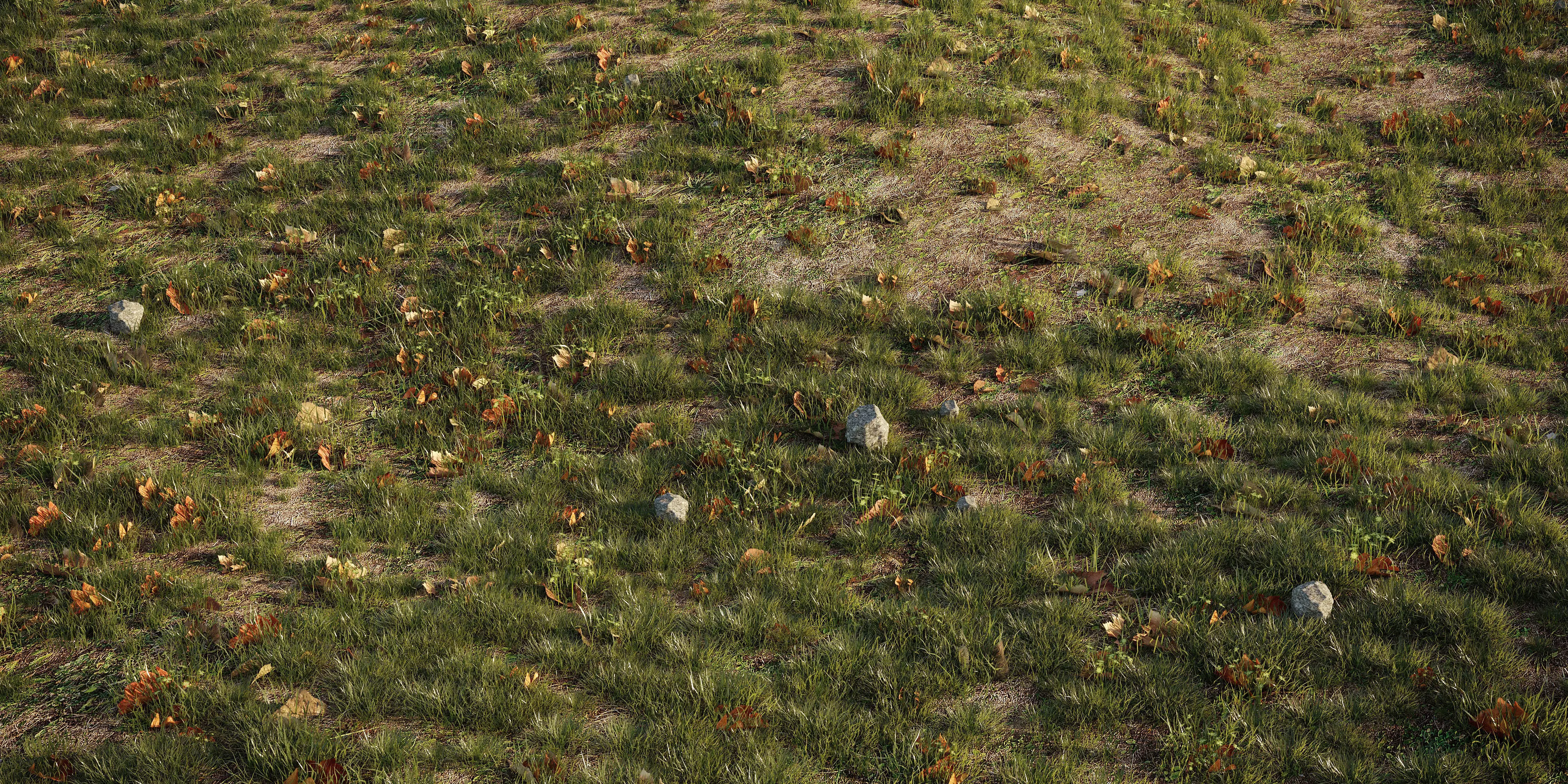 House Grass or Lawns Scene Complete 3D model_0