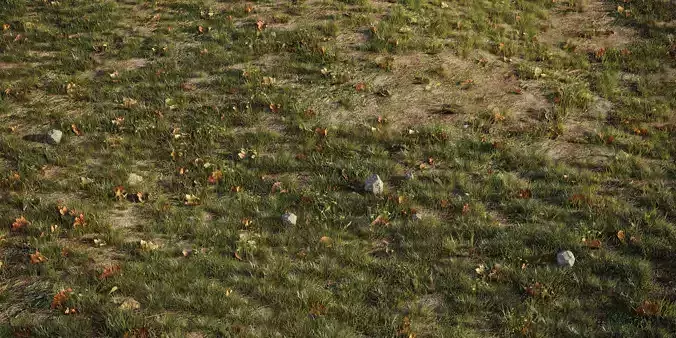 House Grass or Lawns Scene Complete 3D model