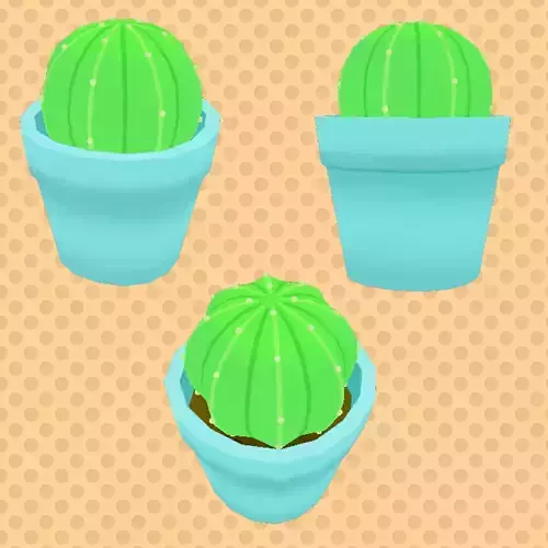 Cute Ball Cactus