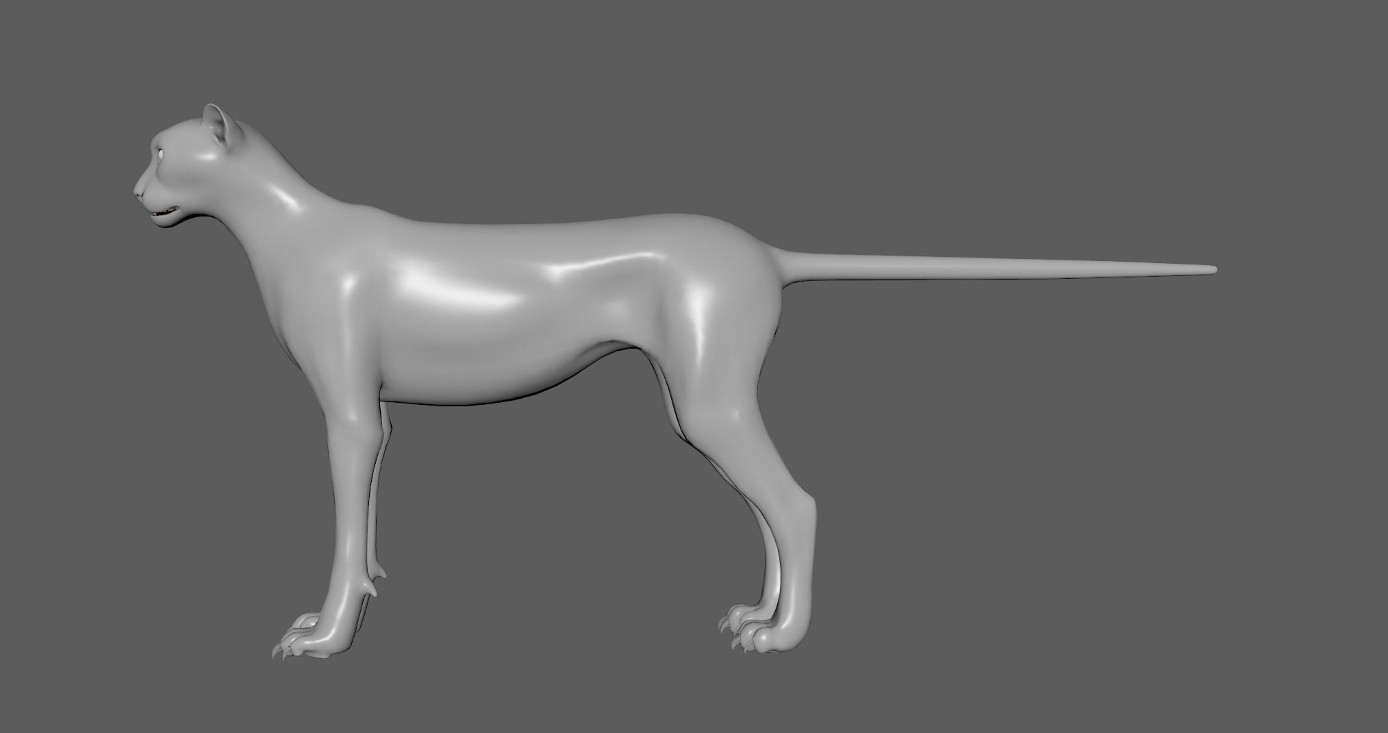 Cheetah - body with RIG 3D model_6