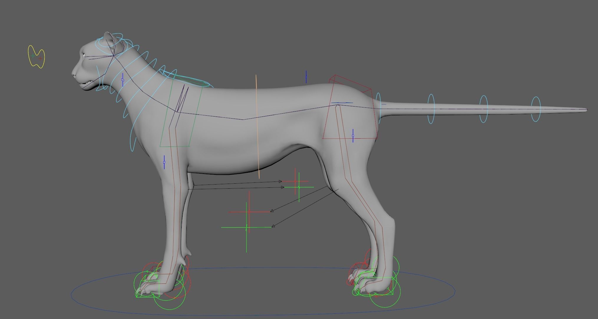 Cheetah - body with RIG 3D model_8