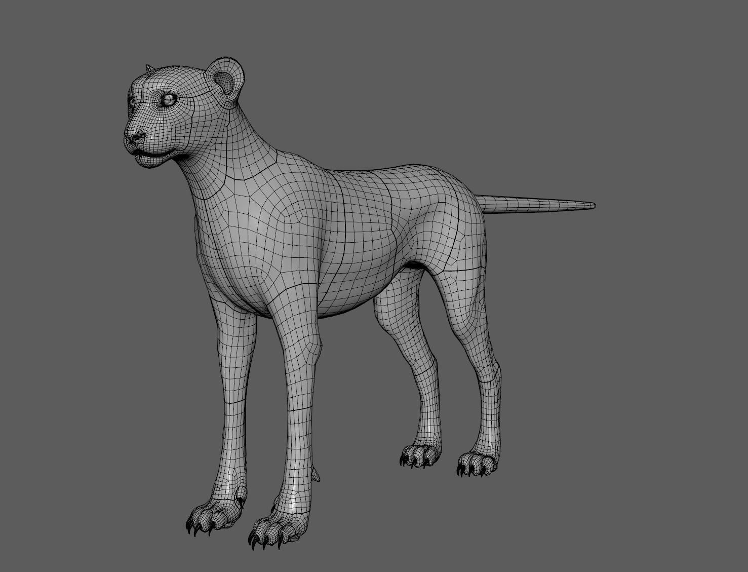 Cheetah - body with RIG 3D model_13