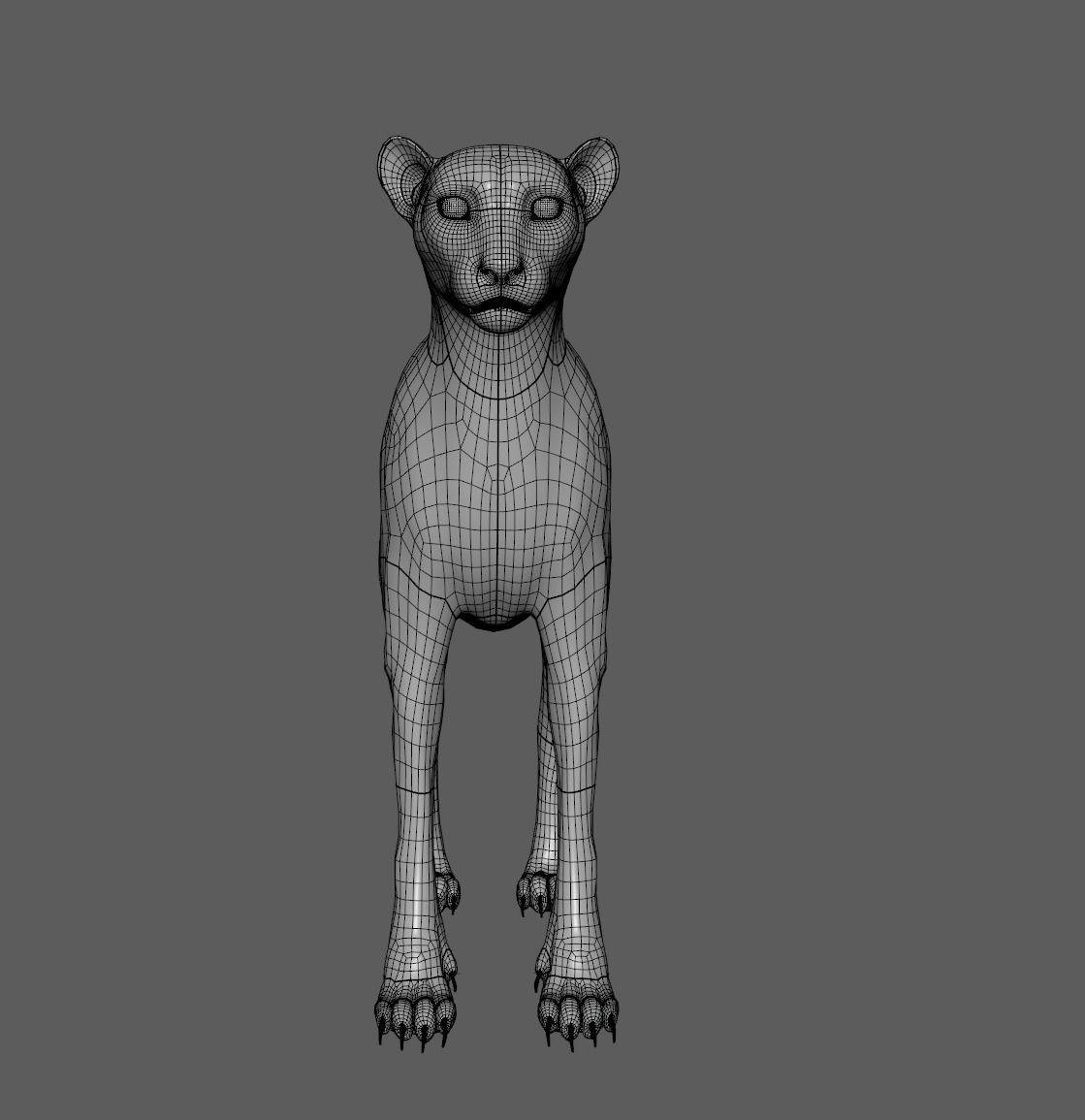 Cheetah - body with RIG 3D model_4