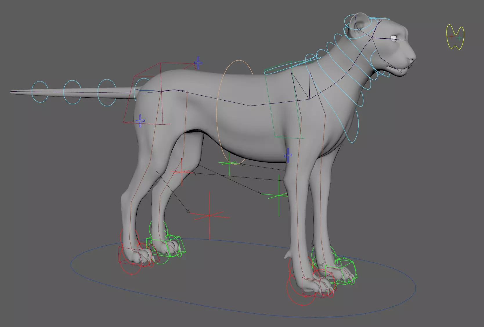 Cheetah - body with RIG 3D model_0