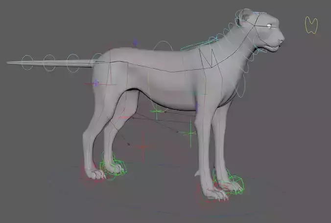Cheetah - body with RIG 3D model