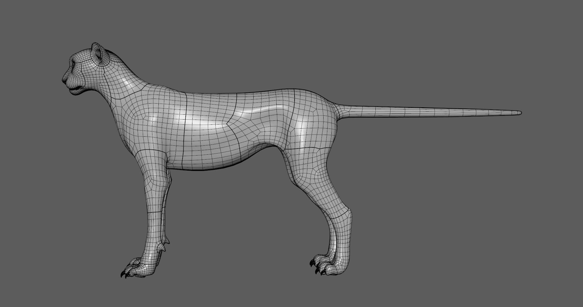 Cheetah - body with RIG 3D model_7