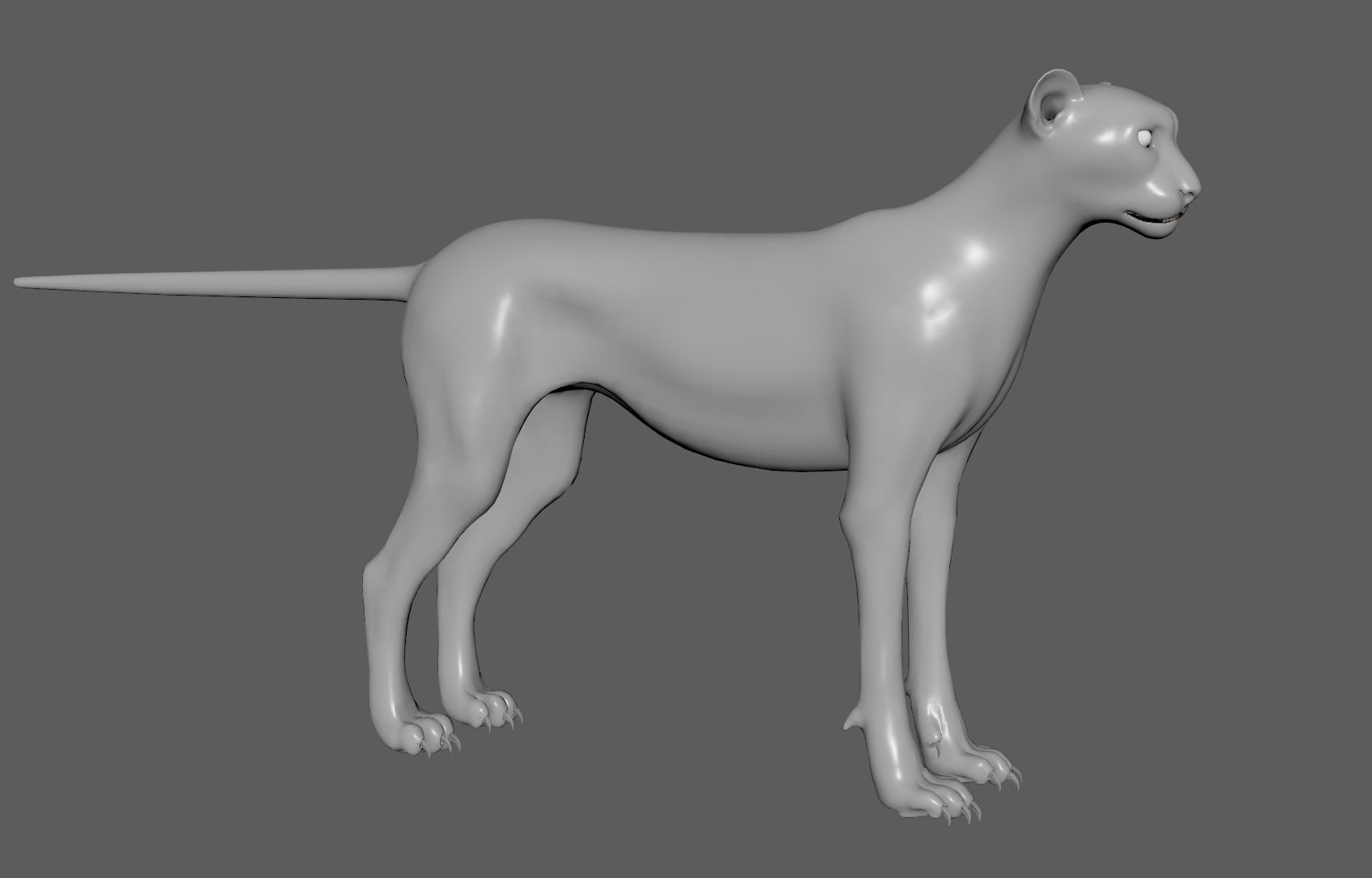 Cheetah - body with RIG 3D model_1