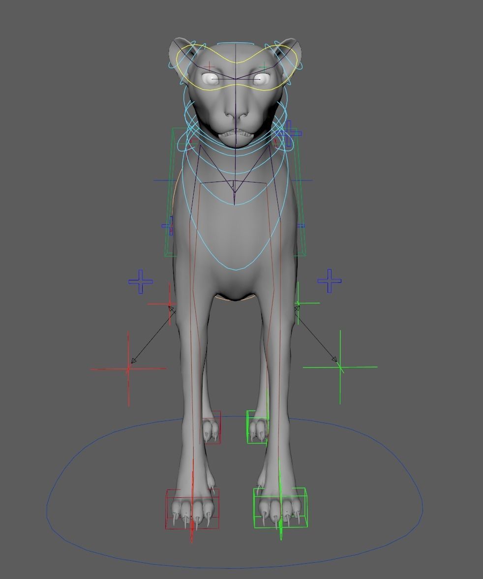 Cheetah - body with RIG 3D model_5