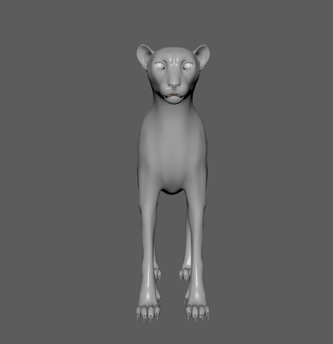 Cheetah - body with RIG 3D model_3