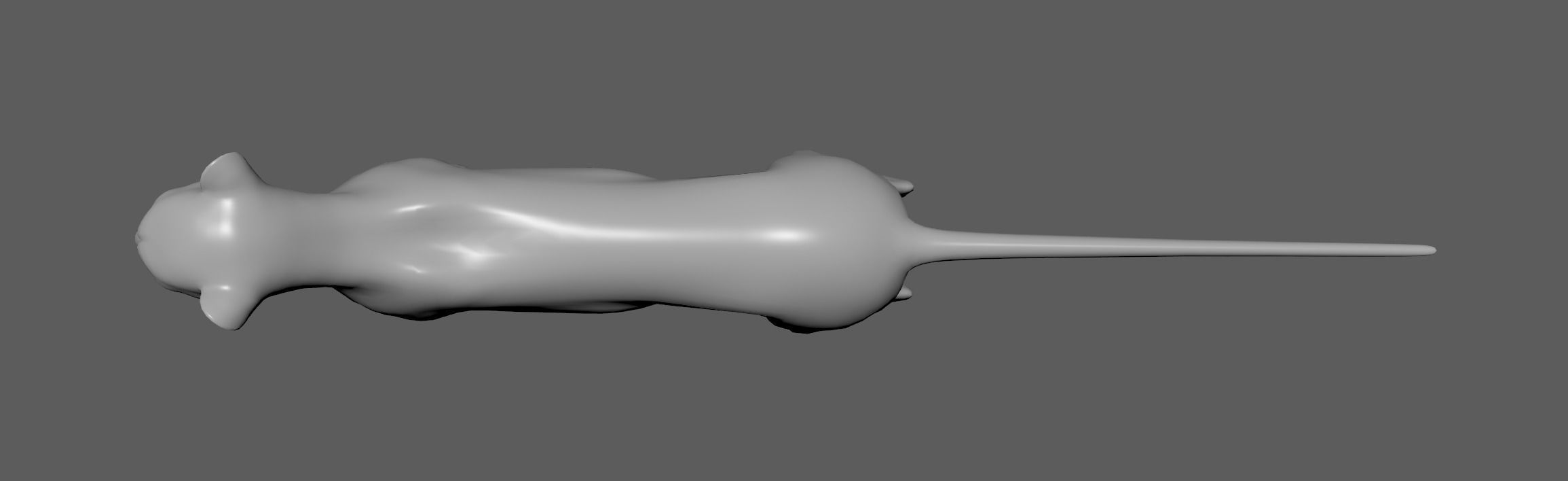 Cheetah - body with RIG 3D model_9