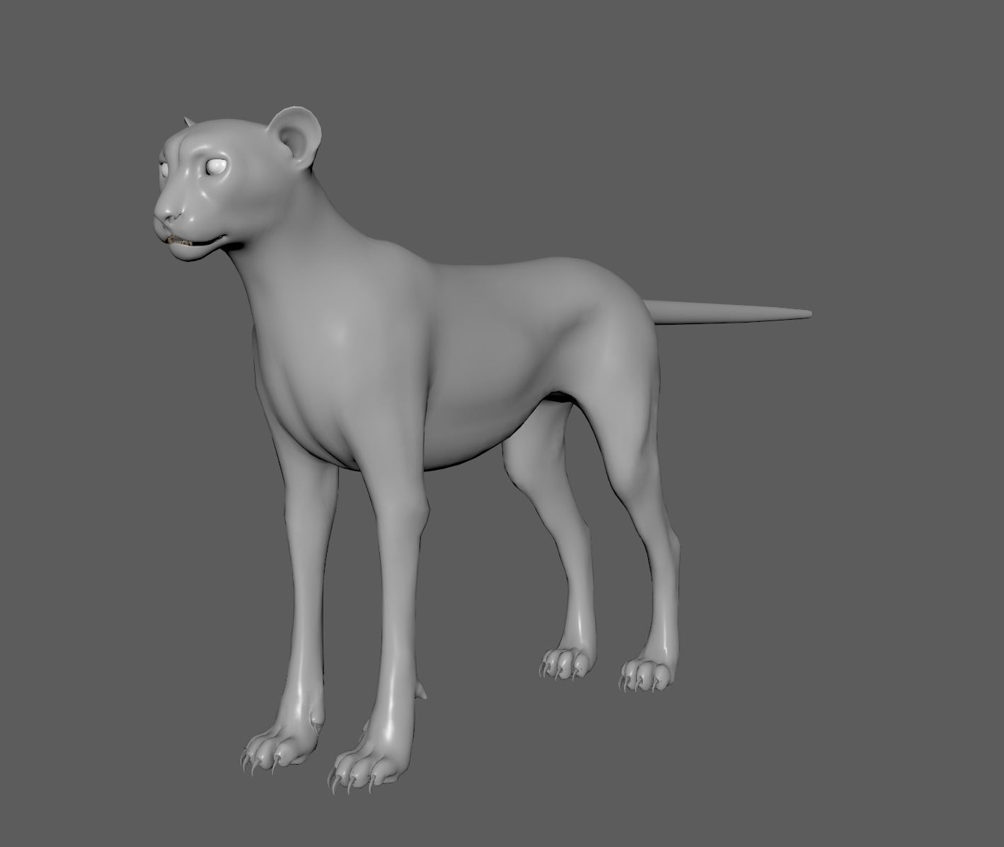 Cheetah - body with RIG 3D model_12