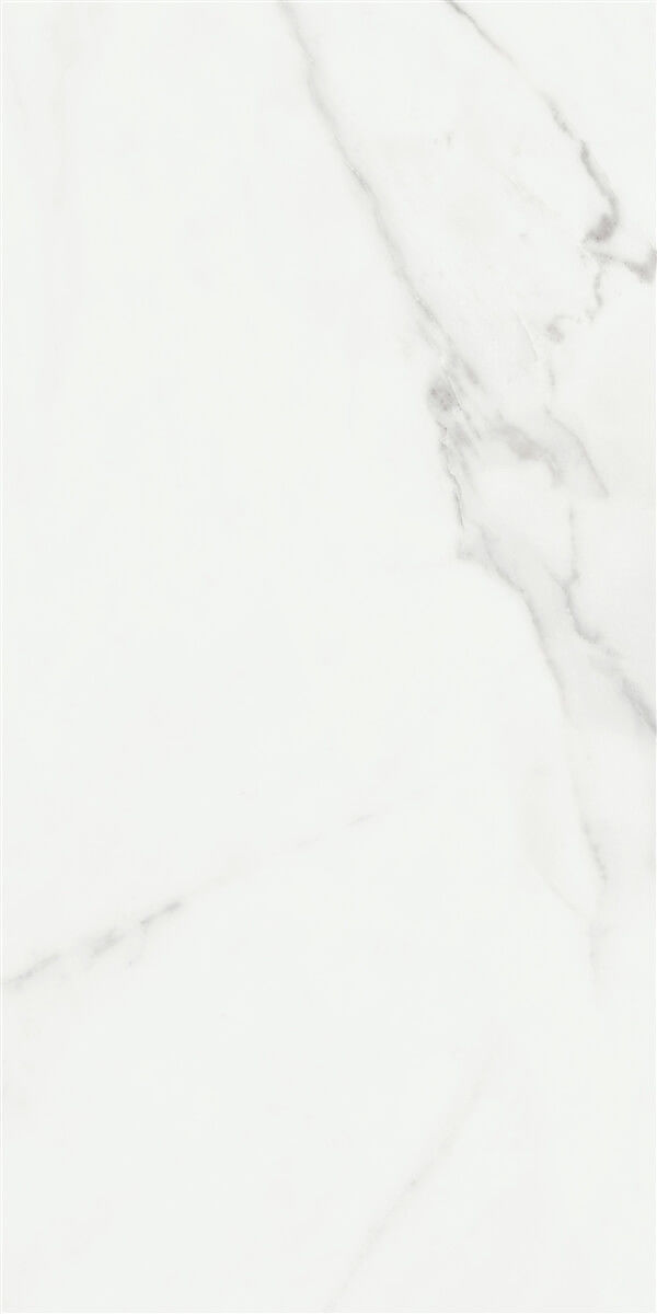Marble Floor Afyon White Set 6 Texture_2