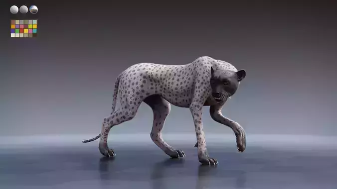 Cheetah - only body with textures and shading 3D model