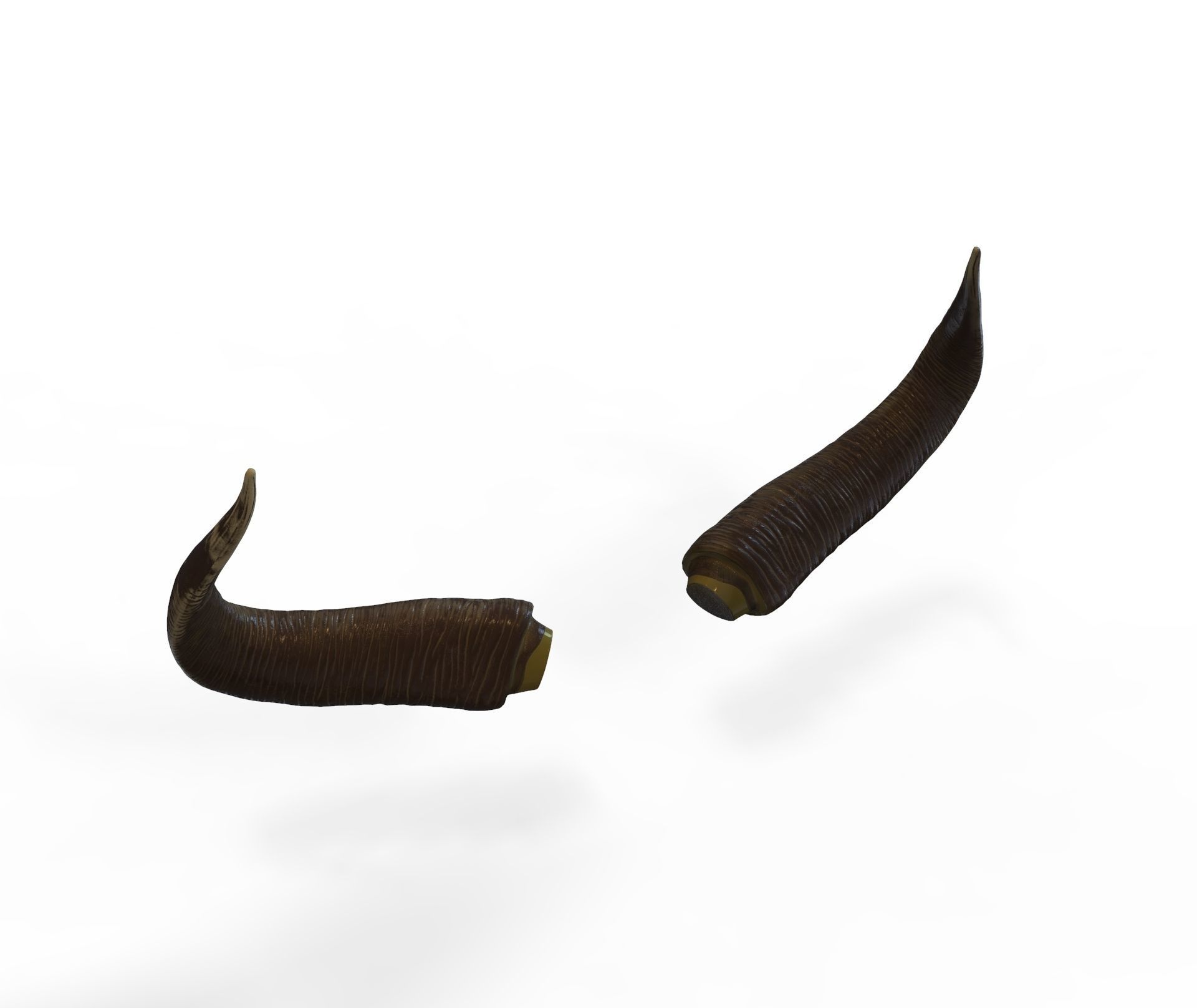 Bull Horns Low-poly 3D model_4