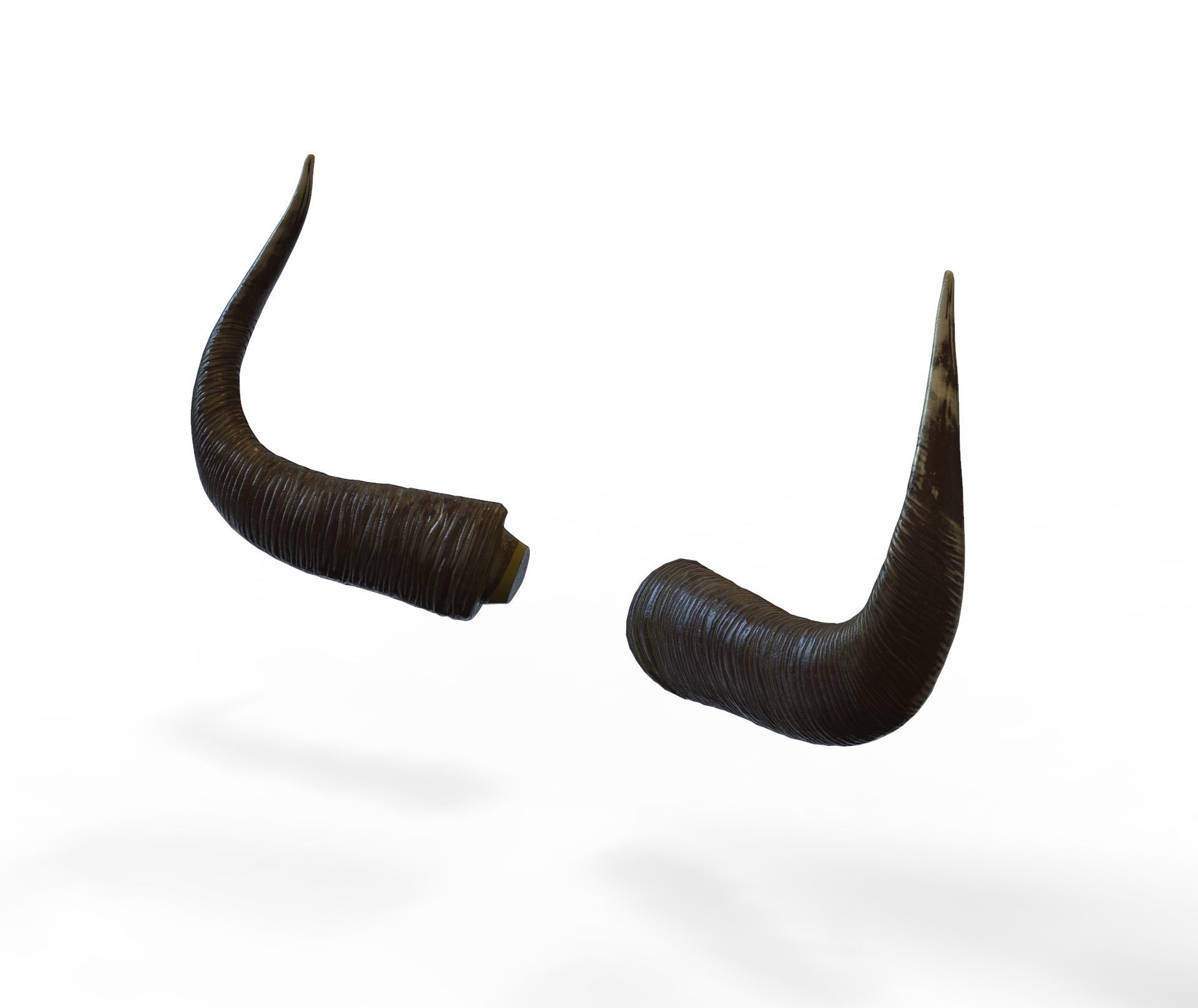 Bull Horns Low-poly 3D model_2