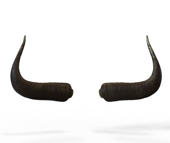 Bull Horns Low-poly 3D model