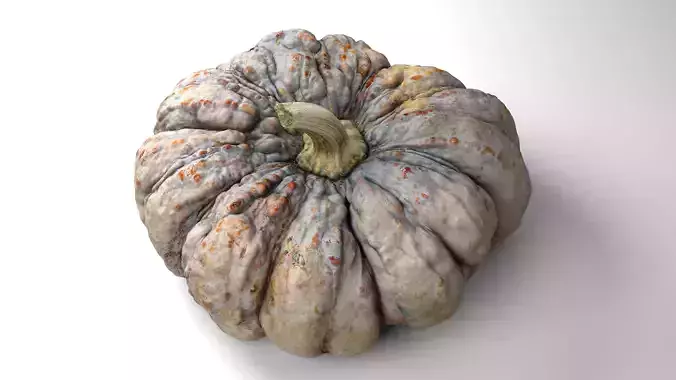 Warty Pumpkin - Photorealistic  Scan Low-poly 3D model