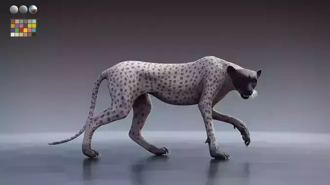 Cheetah - body with RIG including textures and shading 3D model