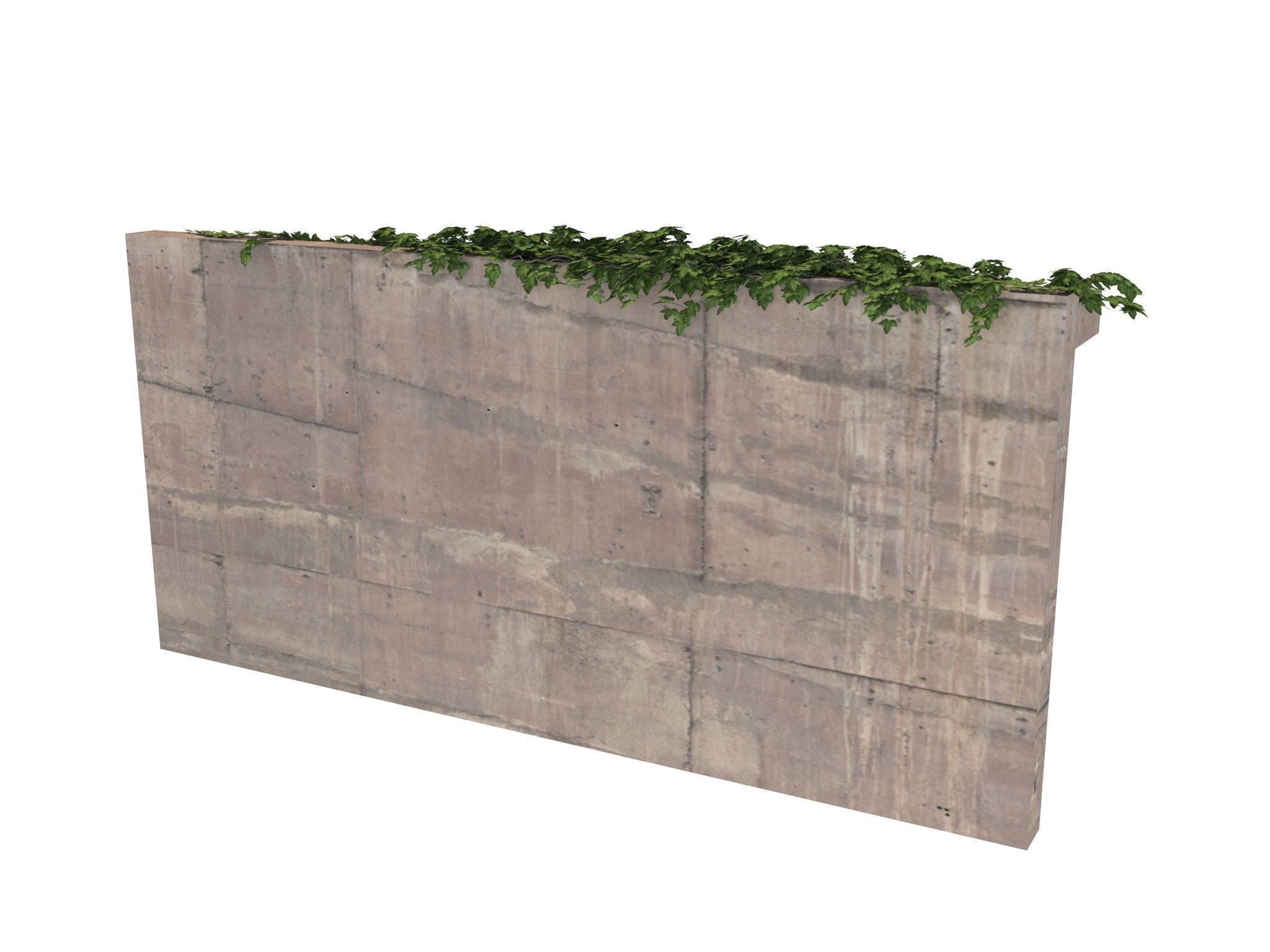 Hanging Ivy Wall Mini Bundle vol 02 3D model_13