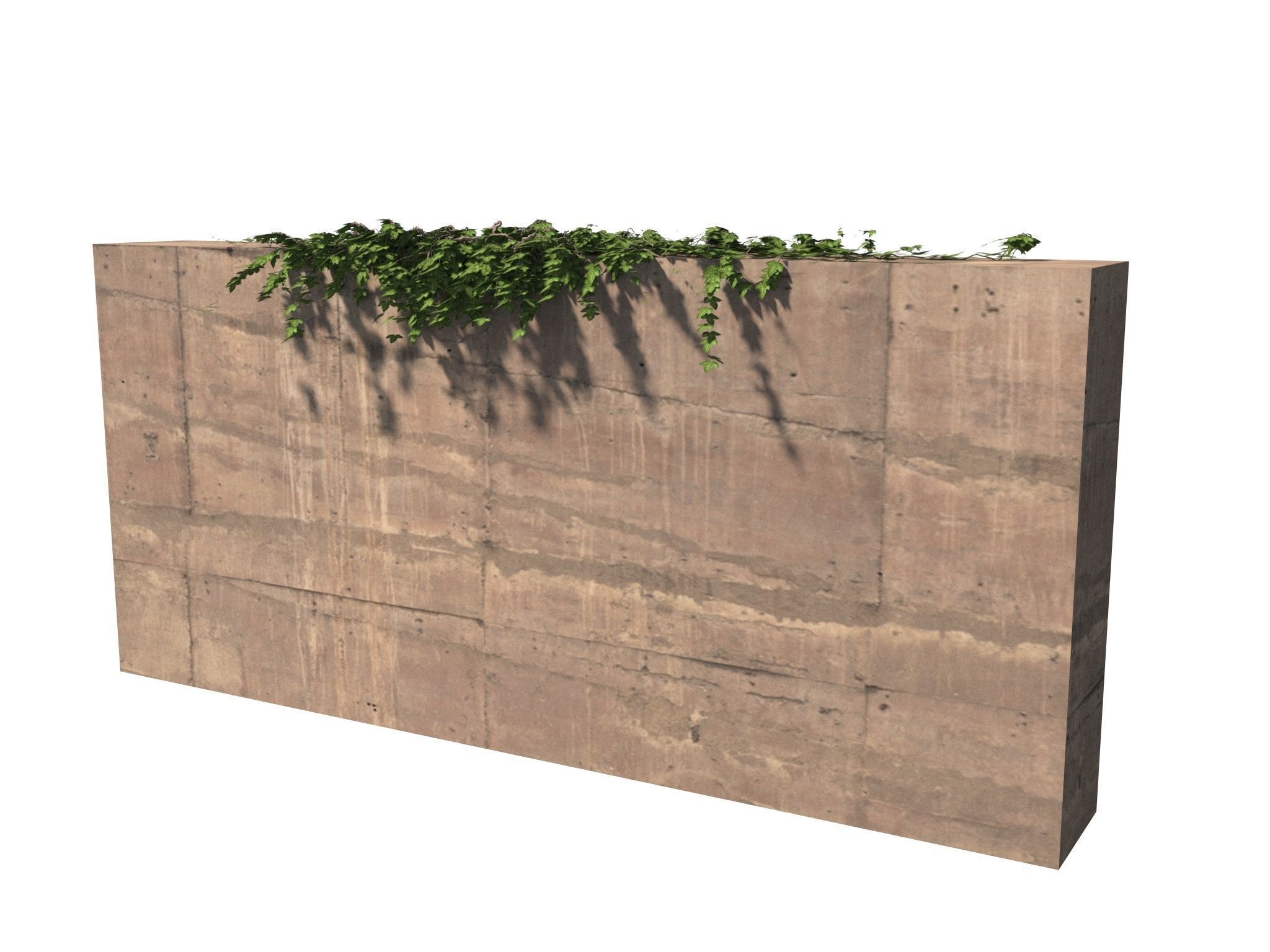 Hanging Ivy Wall Mini Bundle vol 02 3D model_12