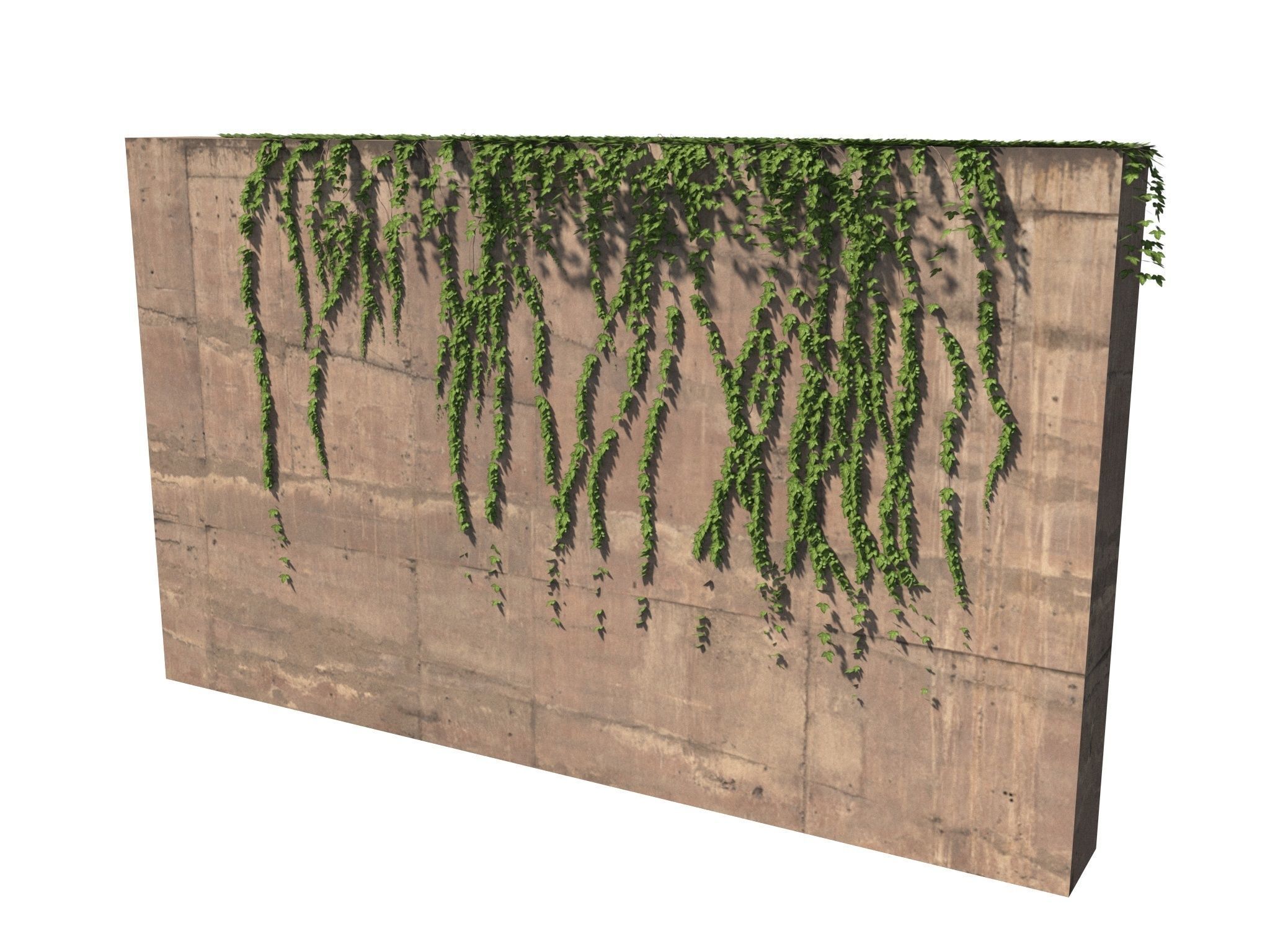 Hanging Ivy Wall Mini Bundle vol 02 3D model_6