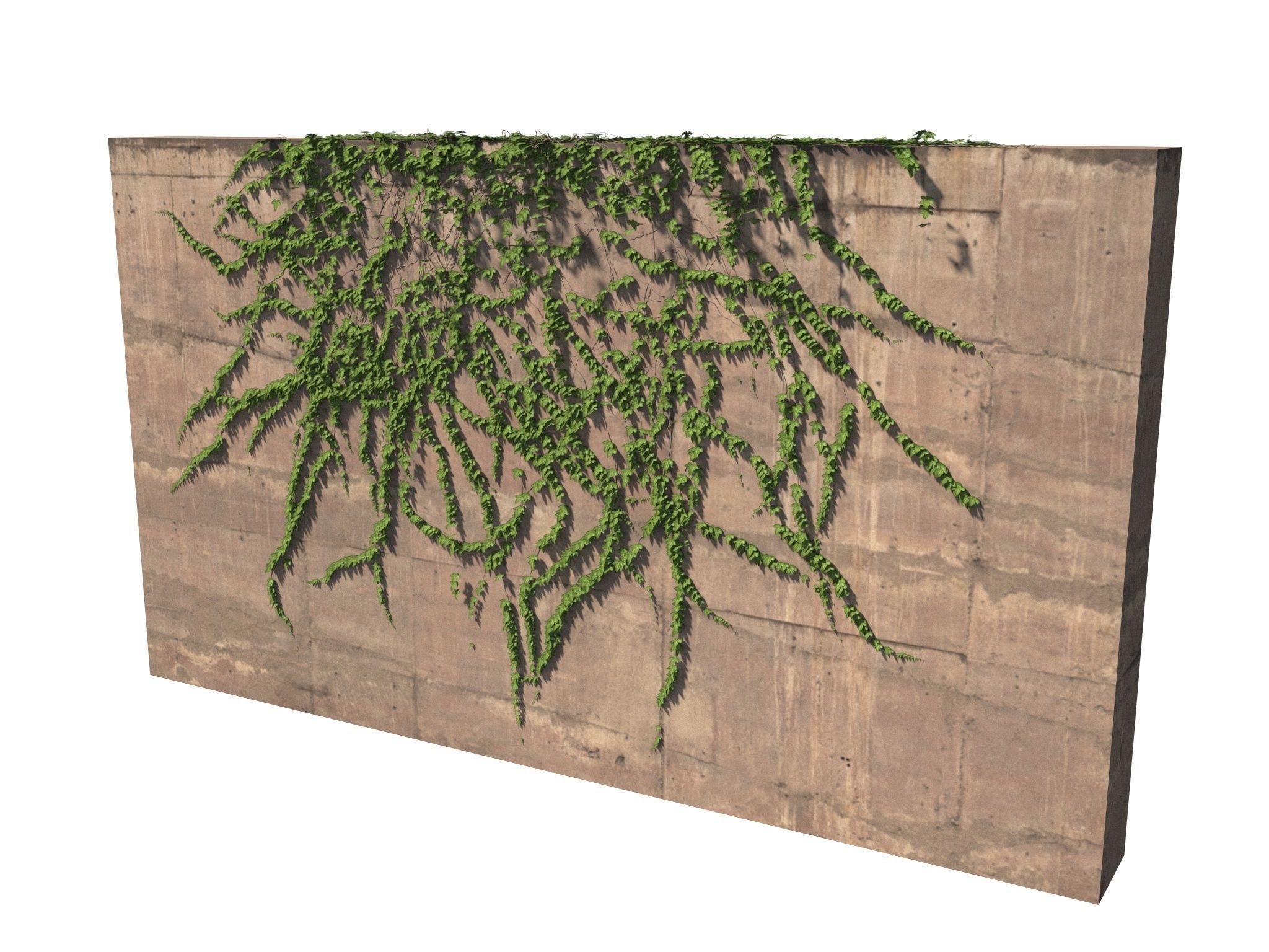Hanging Ivy Wall Mini Bundle vol 02 3D model_9