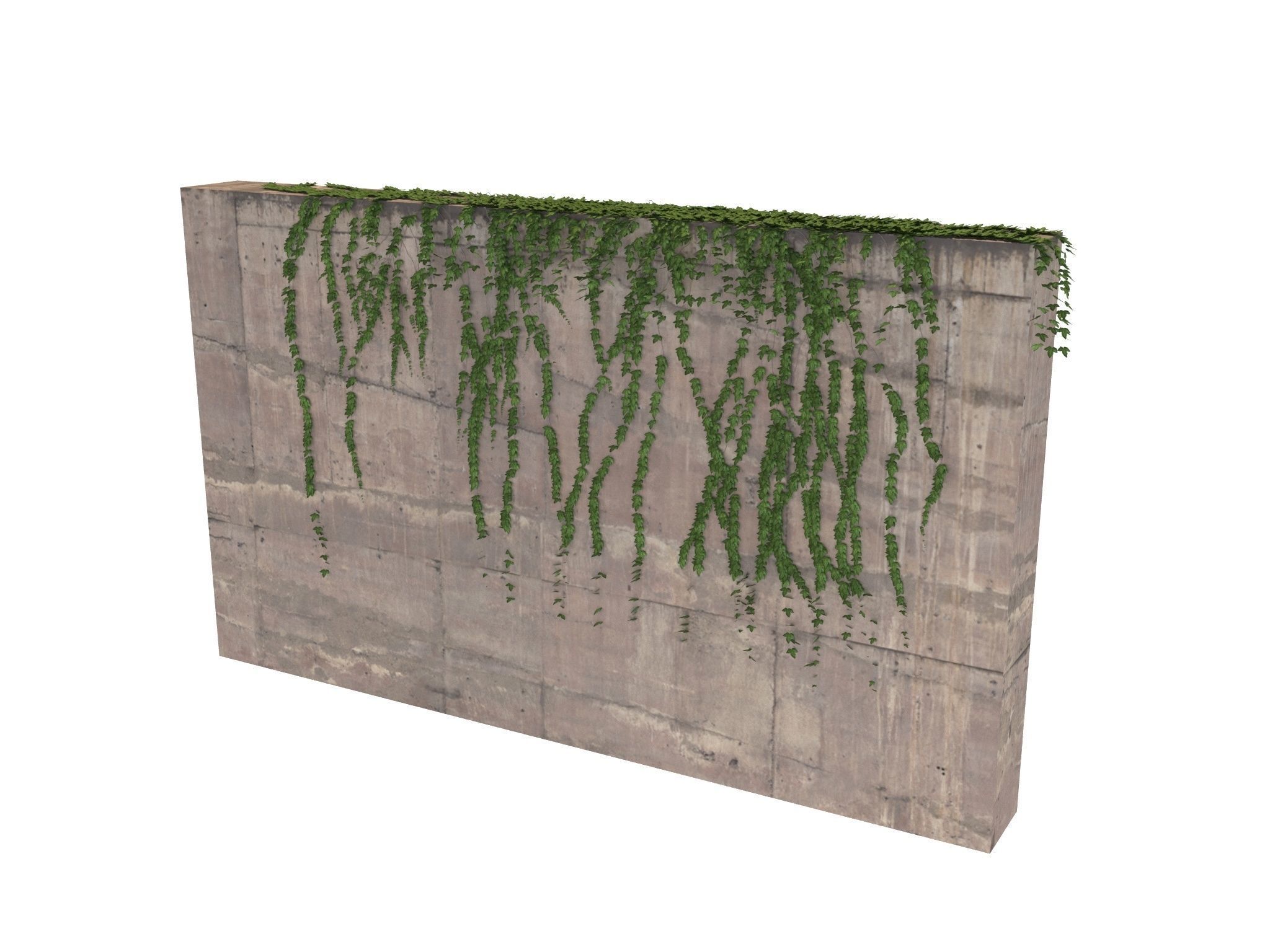 Hanging Ivy Wall Mini Bundle vol 02 3D model_4