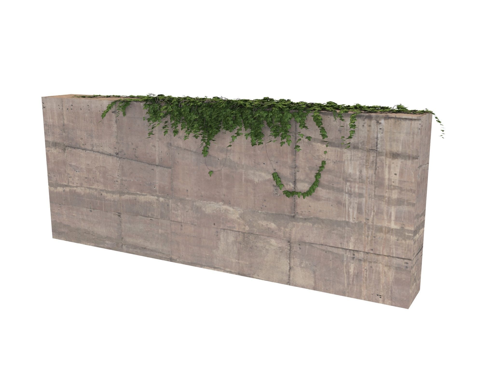 Hanging Ivy Wall Mini Bundle vol 02 3D model_1