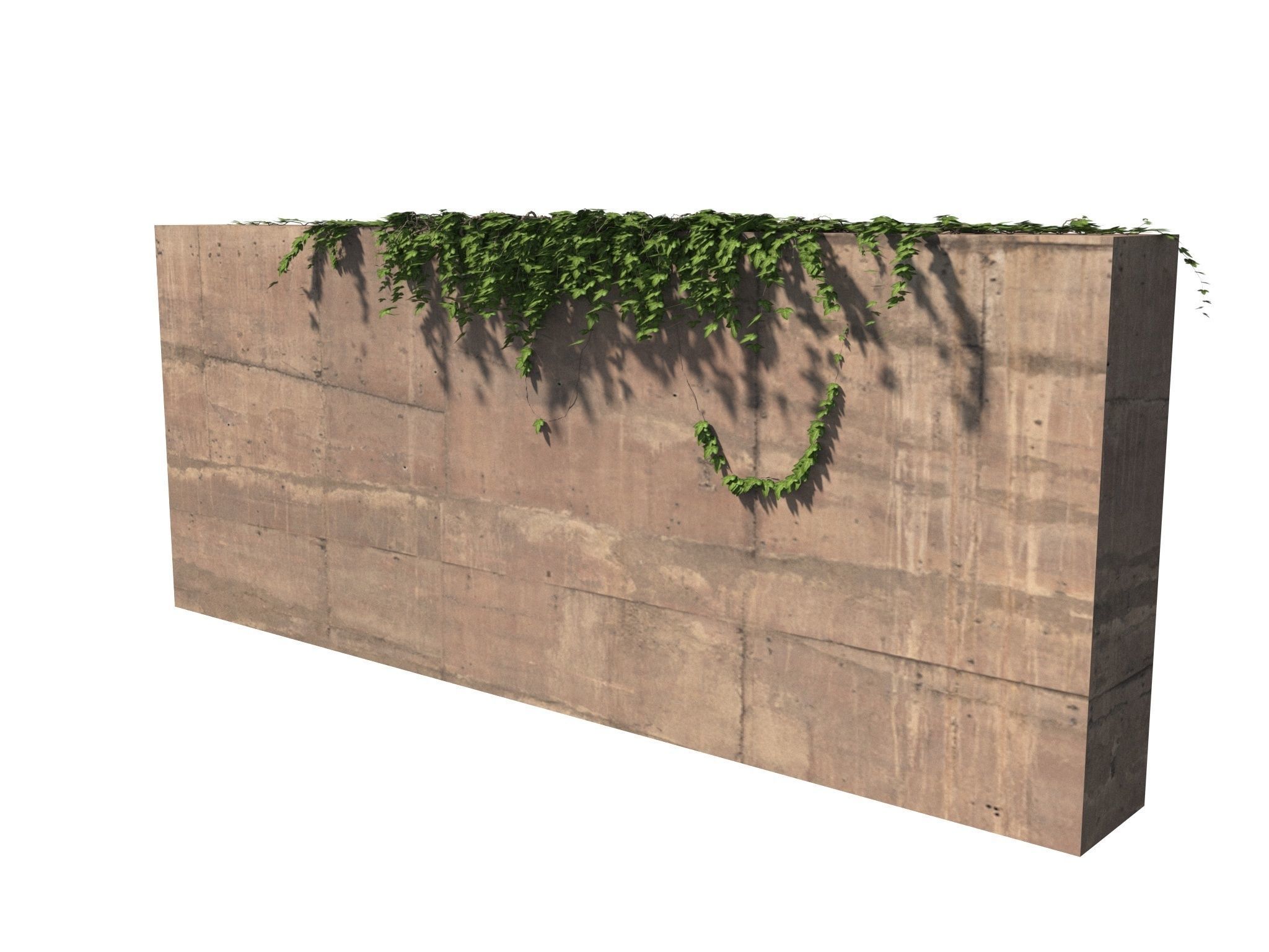 Hanging Ivy Wall Mini Bundle vol 02 3D model_3