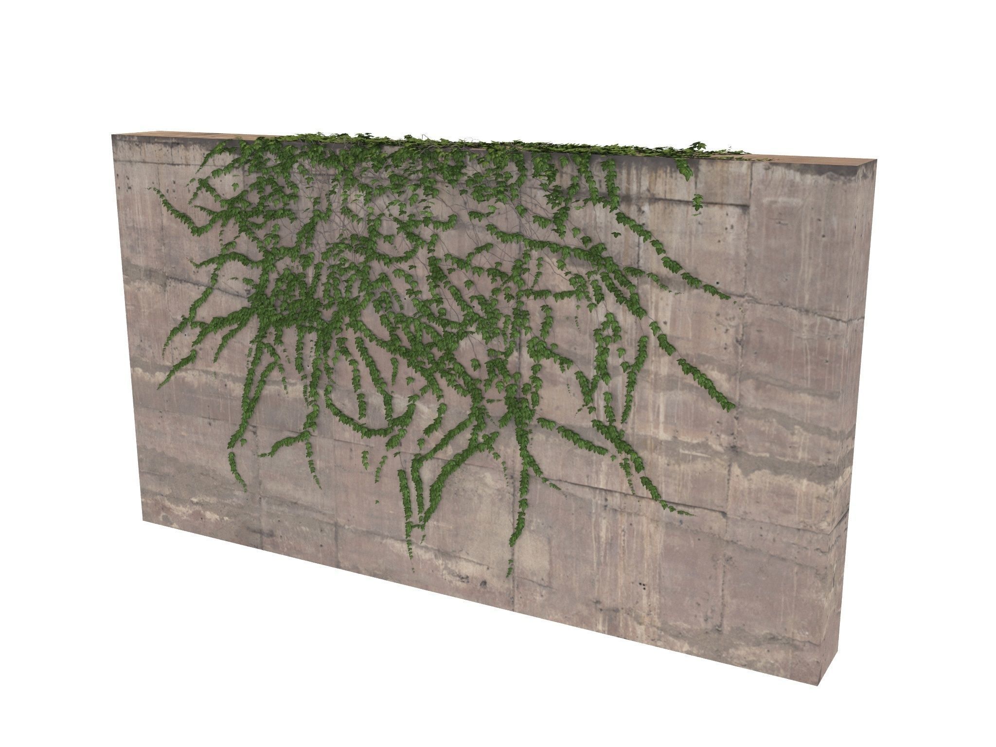 Hanging Ivy Wall Mini Bundle vol 02 3D model_7