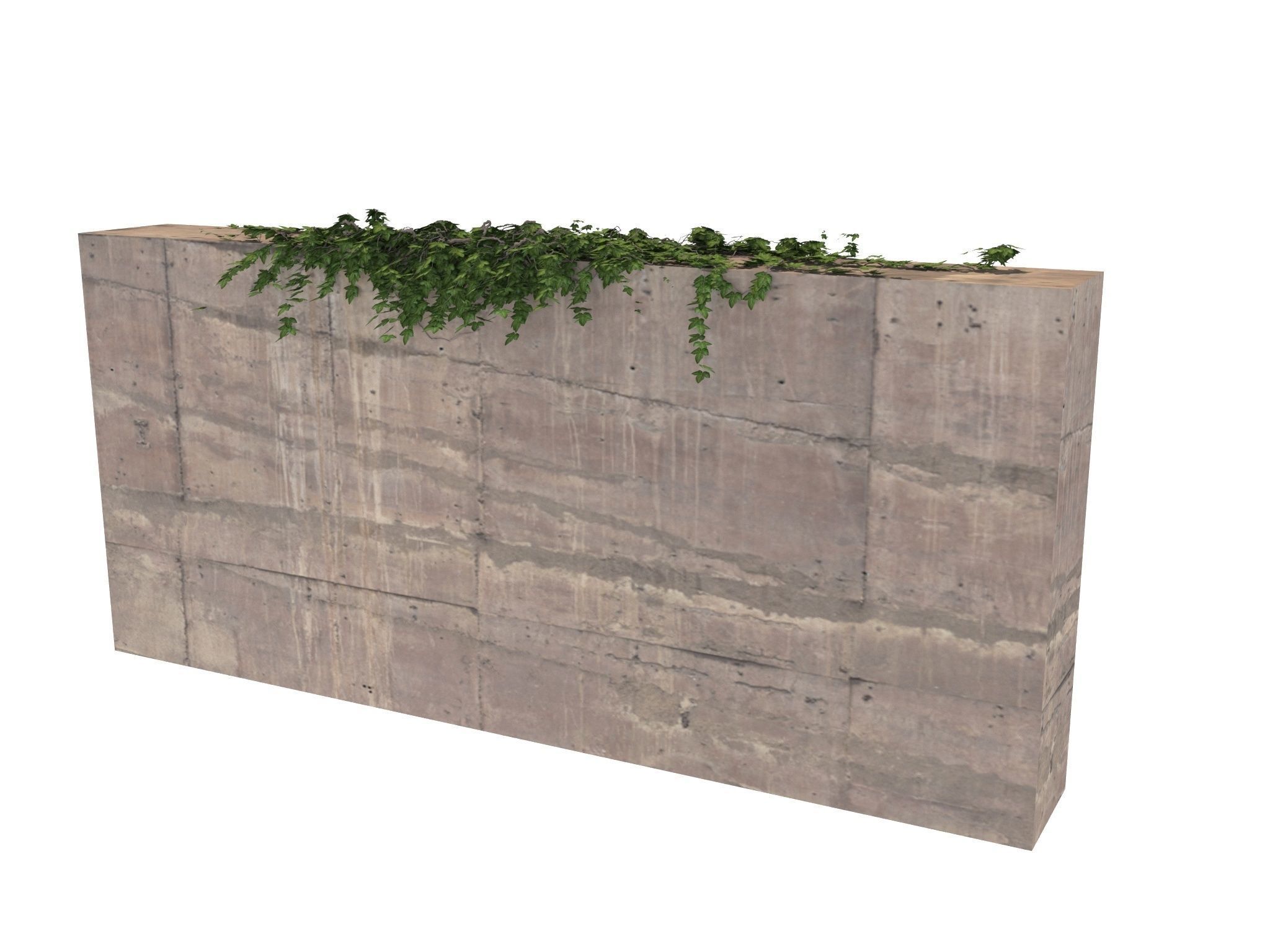 Hanging Ivy Wall Mini Bundle vol 02 3D model_10