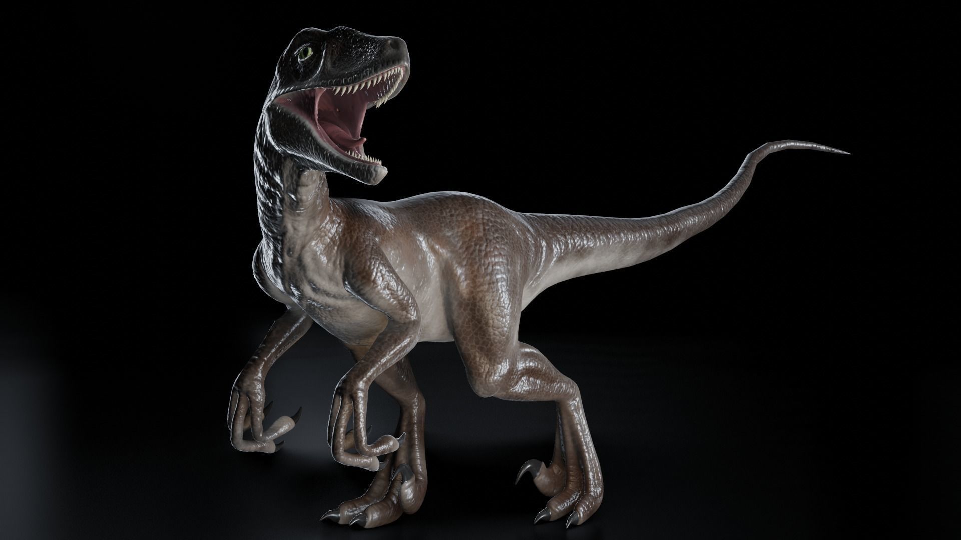 Velociraptor dinosaur Low-poly 3D model_3