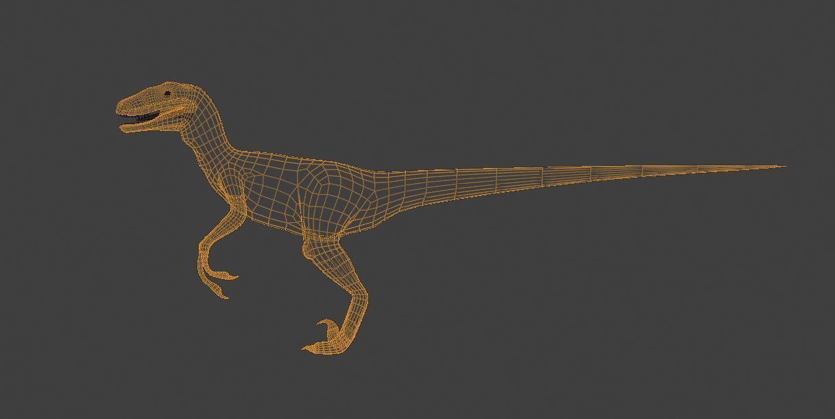 Velociraptor dinosaur Low-poly 3D model_9