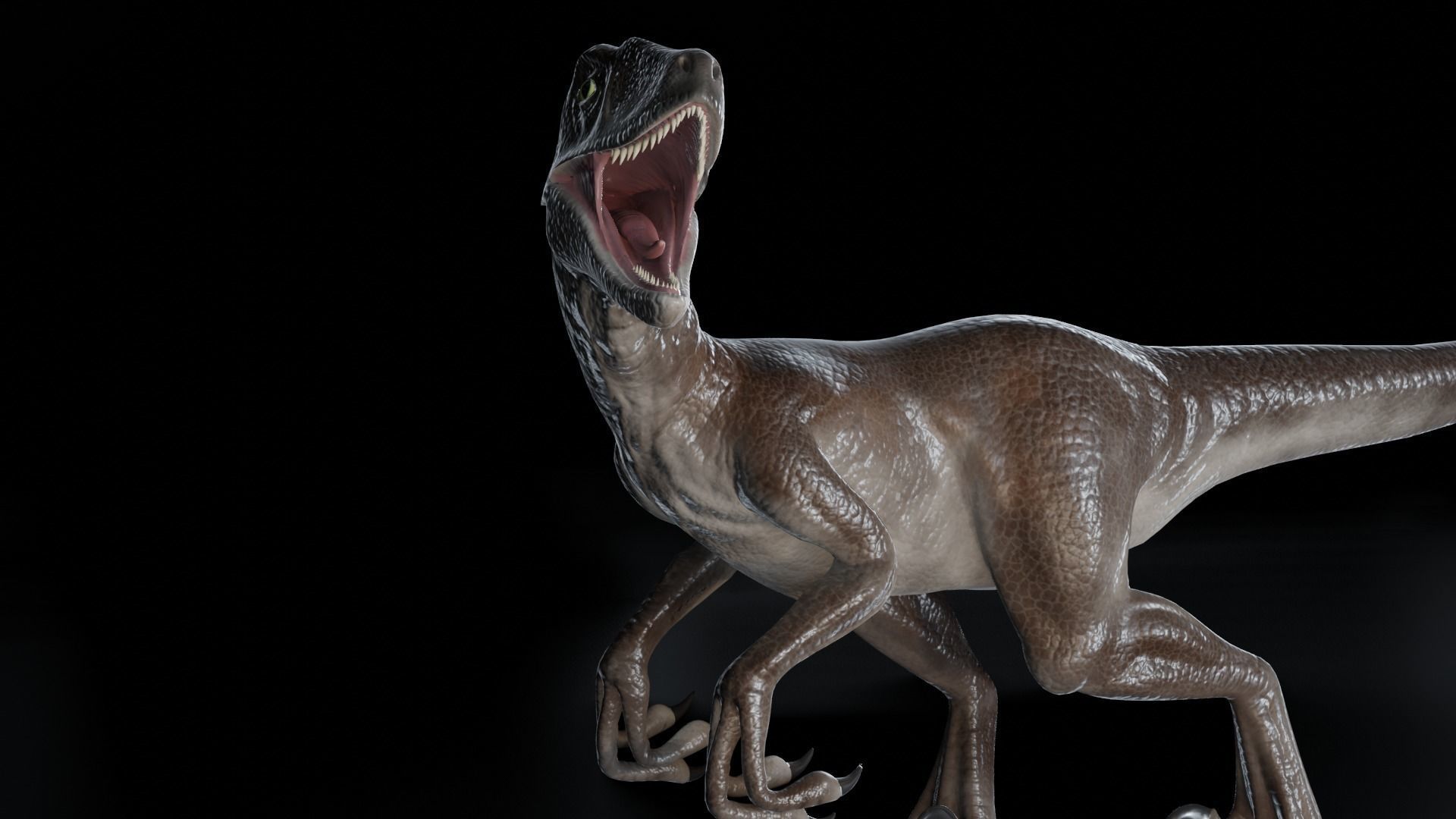Velociraptor dinosaur Low-poly 3D model_2