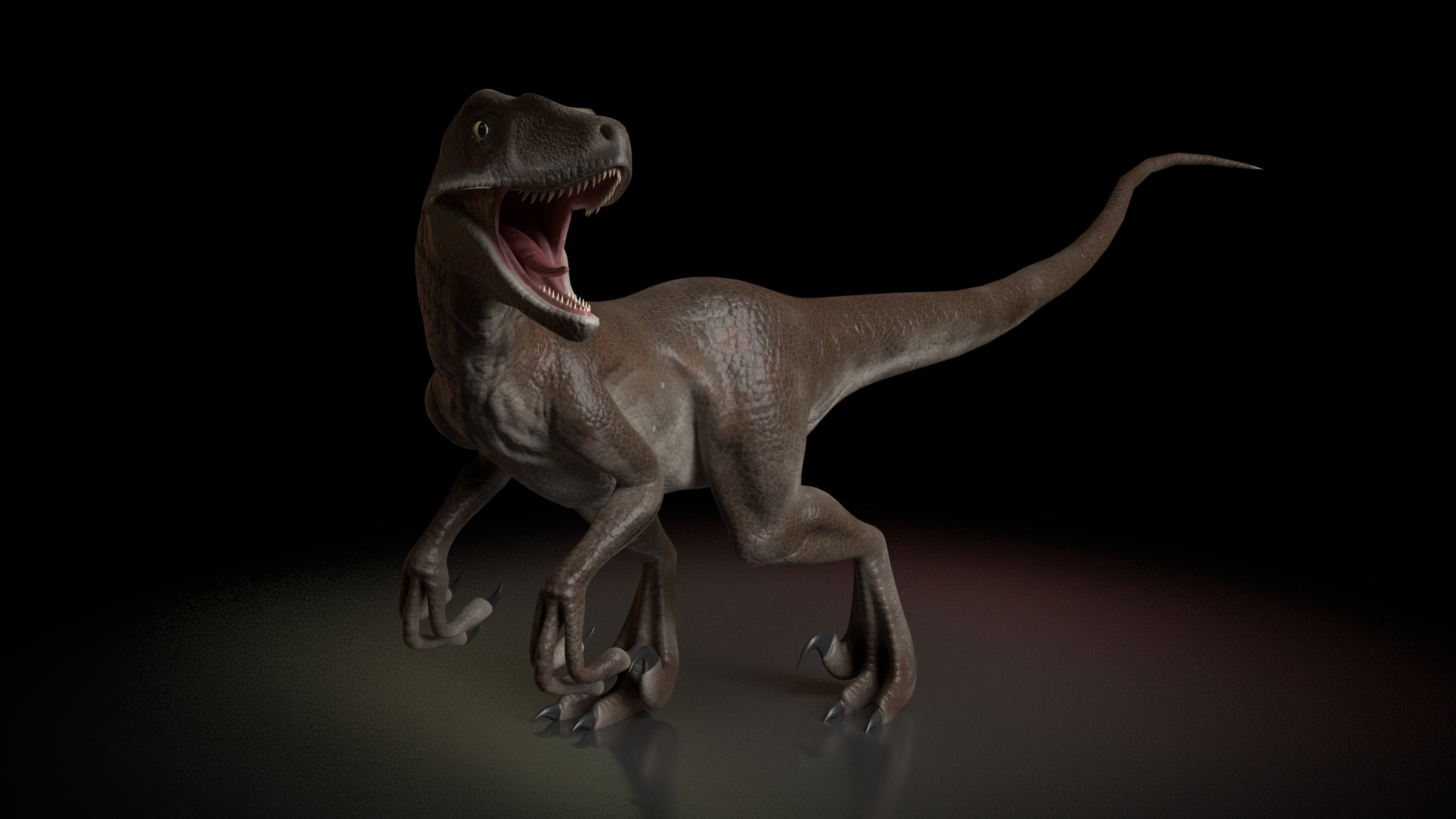 Velociraptor dinosaur Low-poly 3D model_1
