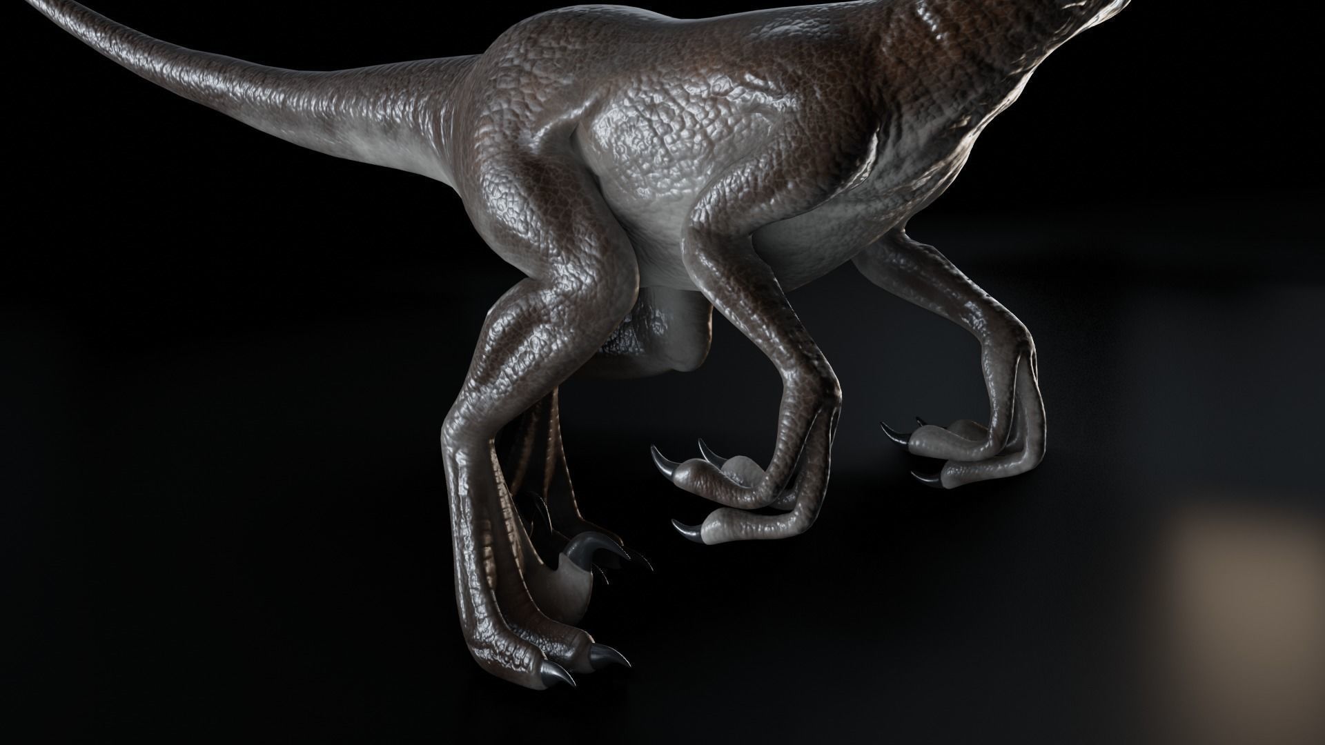 Velociraptor dinosaur Low-poly 3D model_4